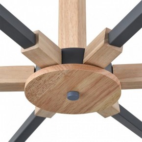 Люстра на штанге Lumion Colange 8096/6C в Нижнекамске - nizhnekamsk.ok-mebel.com | фото 7