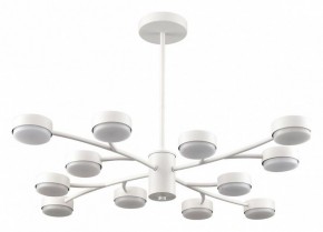 Люстра на штанге Lumion TORINA 8265/12 в Нижнекамске - nizhnekamsk.ok-mebel.com | фото
