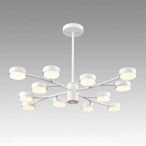 Люстра на штанге Lumion TORINA 8265/12 в Нижнекамске - nizhnekamsk.ok-mebel.com | фото 3
