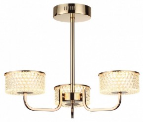 Люстра на штанге Lumion Venice 6579/40CL в Нижнекамске - nizhnekamsk.ok-mebel.com | фото 5