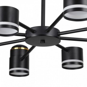 Люстра на штанге Lumion Virsava 8234/8C в Нижнекамске - nizhnekamsk.ok-mebel.com | фото 10