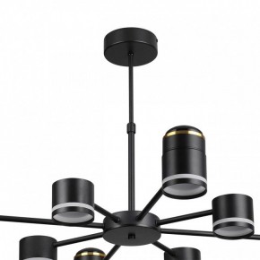 Люстра на штанге Lumion Virsava 8234/8C в Нижнекамске - nizhnekamsk.ok-mebel.com | фото 5