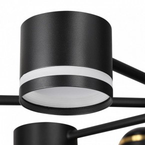 Люстра на штанге Lumion Virsava 8234/8C в Нижнекамске - nizhnekamsk.ok-mebel.com | фото 8