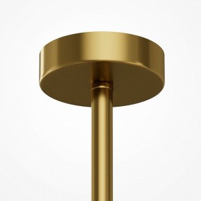 Люстра на штанге Maytoni Museo MOD436PL-05BS в Нижнекамске - nizhnekamsk.ok-mebel.com | фото 6