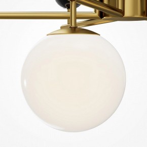 Люстра на штанге Maytoni Museo MOD436PL-07BS в Нижнекамске - nizhnekamsk.ok-mebel.com | фото 4