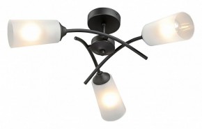 Люстра на штанге Vitaluce V2850 V2850-1/3PL в Нижнекамске - nizhnekamsk.ok-mebel.com | фото 2