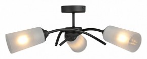 Люстра на штанге Vitaluce V2850 V2850-1/3PL в Нижнекамске - nizhnekamsk.ok-mebel.com | фото 3
