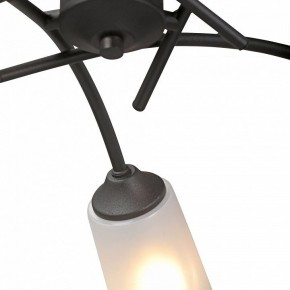 Люстра на штанге Vitaluce V2850 V2850-1/5PL в Нижнекамске - nizhnekamsk.ok-mebel.com | фото 6