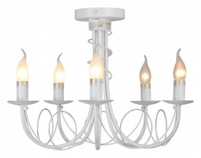 Люстра на штанге Vitaluce V3035 V3035-0/5PL в Нижнекамске - nizhnekamsk.ok-mebel.com | фото 2