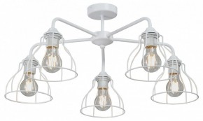 Люстра на штанге Vitaluce V3102 V3102-0/5PL в Нижнекамске - nizhnekamsk.ok-mebel.com | фото