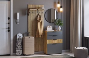 МЕБЕЛЬСОН К3 Прихожая (графит) в Нижнекамске - nizhnekamsk.ok-mebel.com | фото