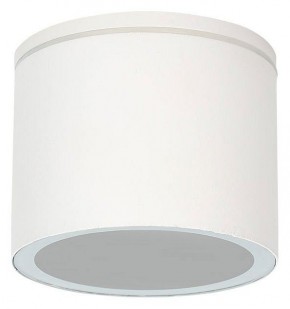 Накладной светильник Arte Lamp Piautos A1913PF-1WH в Нижнекамске - nizhnekamsk.ok-mebel.com | фото