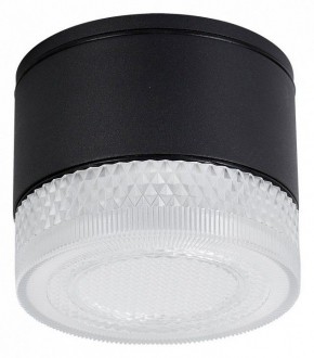 Накладной светильник Arte Lamp Piautos A1926PF-1BK в Нижнекамске - nizhnekamsk.ok-mebel.com | фото