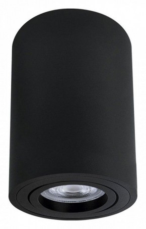 Накладной светильник Arte Lamp Sentry A1566PL-1BK в Нижнекамске - nizhnekamsk.ok-mebel.com | фото
