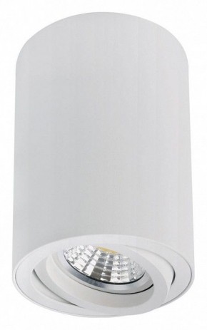 Накладной светильник Arte Lamp Sentry A1566PL-1WH в Нижнекамске - nizhnekamsk.ok-mebel.com | фото