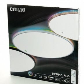 Накладной светильник Citilux NORMA CL749600 в Нижнекамске - nizhnekamsk.ok-mebel.com | фото 8