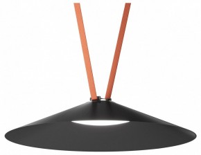 Накладной светильник Denkirs Belty Flow DK5568-BK в Нижнекамске - nizhnekamsk.ok-mebel.com | фото 2