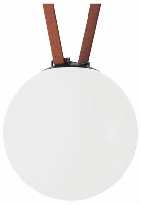 Накладной светильник Denkirs Belty Orb DK5554-BK в Нижнекамске - nizhnekamsk.ok-mebel.com | фото