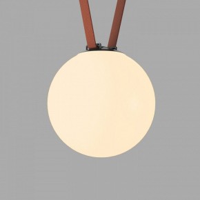 Накладной светильник Denkirs Belty Orb DK5555-BK в Нижнекамске - nizhnekamsk.ok-mebel.com | фото 2