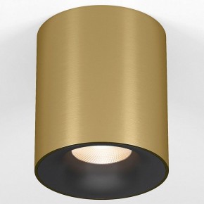 Накладной светильник Elektrostandard Primo 25116/LED в Нижнекамске - nizhnekamsk.ok-mebel.com | фото