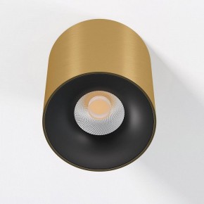 Накладной светильник Elektrostandard Primo 25116/LED в Нижнекамске - nizhnekamsk.ok-mebel.com | фото