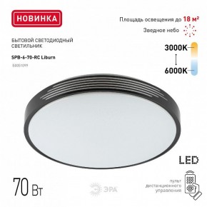Накладной светильник Эра Классик SPB-6-70-RC Liburn в Нижнекамске - nizhnekamsk.ok-mebel.com | фото 10