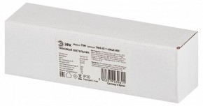 Накладной светильник Эра  TRM-S5-1-6W4K-WH в Нижнекамске - nizhnekamsk.ok-mebel.com | фото 6