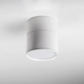 Накладной светильник Lightstar Acuto 215886 в Нижнекамске - nizhnekamsk.ok-mebel.com | фото 3
