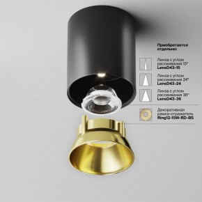 Накладной светильник Maytoni Alfa LED C064CL-12W4K-RD-B в Нижнекамске - nizhnekamsk.ok-mebel.com | фото 3