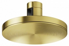 Накладной светильник Maytoni Plato TR152-1-7W4K-BS в Нижнекамске - nizhnekamsk.ok-mebel.com | фото