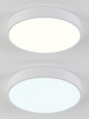 Накладной светильник Natali Kovaltseva  LED LAMPS 81111/5C в Нижнекамске - nizhnekamsk.ok-mebel.com | фото 4
