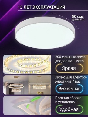 Накладной светильник Natali Kovaltseva  LED LAMPS 81112/5C в Нижнекамске - nizhnekamsk.ok-mebel.com | фото 4