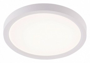 Накладной светильник Natali Kovaltseva PLAIN LED LAMPS 81113/1C в Нижнекамске - nizhnekamsk.ok-mebel.com | фото