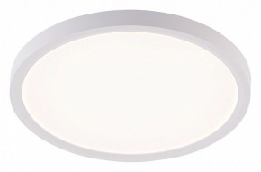 Накладной светильник Natali Kovaltseva PLAIN LED LAMPS 81113/2C в Нижнекамске - nizhnekamsk.ok-mebel.com | фото