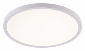 Накладной светильник Natali Kovaltseva PLAIN LED LAMPS 81113/3C в Нижнекамске - nizhnekamsk.ok-mebel.com | фото