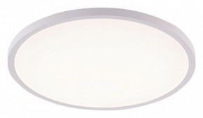 Накладной светильник Natali Kovaltseva PLAIN LED LAMPS 81113/5C в Нижнекамске - nizhnekamsk.ok-mebel.com | фото