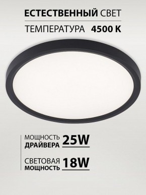 Накладной светильник Natali Kovaltseva PLAIN LED LAMPS 81114/2C в Нижнекамске - nizhnekamsk.ok-mebel.com | фото 3