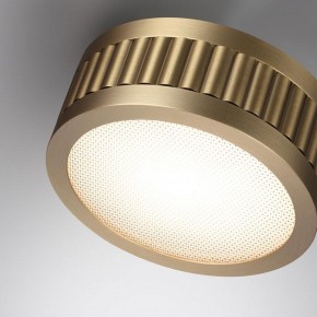 Накладной светильник Odeon Light Manchester 7013/7CL в Нижнекамске - nizhnekamsk.ok-mebel.com | фото 5