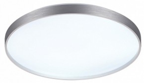 Накладной светильник Sonex Gaby 7784/EL в Нижнекамске - nizhnekamsk.ok-mebel.com | фото 6