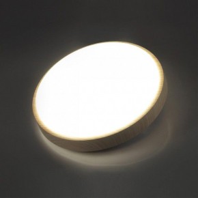 Накладной светильник Sonex Losta 7607/CL в Нижнекамске - nizhnekamsk.ok-mebel.com | фото 3