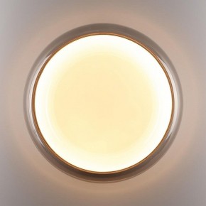 Накладной светильник Sonex PORTMAN 7777/DLN в Нижнекамске - nizhnekamsk.ok-mebel.com | фото 6