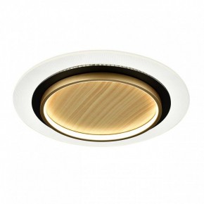 Накладной светильник Sonex Sunny 7731/80L в Нижнекамске - nizhnekamsk.ok-mebel.com | фото 4