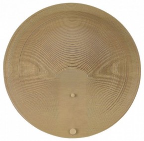 Накладной светильник ST-Luce Fossil SL6900.501.16 в Нижнекамске - nizhnekamsk.ok-mebel.com | фото