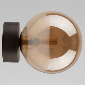 Накладной светильник TK Lighting Estera 10256 Estera в Нижнекамске - nizhnekamsk.ok-mebel.com | фото