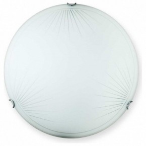 Накладной светильник TopLight Wifa TL9142Y-00WH в Нижнекамске - nizhnekamsk.ok-mebel.com | фото