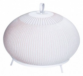 Настольная лампа декоративная Divinare Firefly 1808/33 TL-50 в Нижнекамске - nizhnekamsk.ok-mebel.com | фото