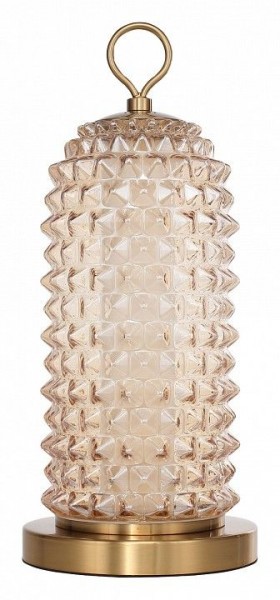 Настольная лампа декоративная ST-Luce SAGUARO SL6144.304.01 в Нижнекамске - nizhnekamsk.ok-mebel.com | фото