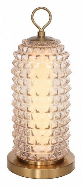 Настольная лампа декоративная ST-Luce SAGUARO SL6144.304.01 в Нижнекамске - nizhnekamsk.ok-mebel.com | фото 2