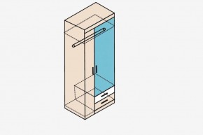 НИКА Н10з Шкаф для одежды в Нижнекамске - nizhnekamsk.ok-mebel.com | фото 4