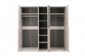 НИКОЛЬ 25 Шкаф 5-ти створчатый в Нижнекамске - nizhnekamsk.ok-mebel.com | фото 3
